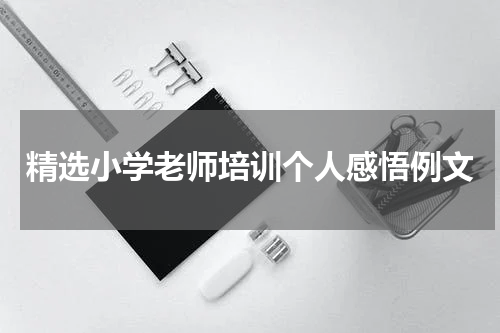 精选小学老师培训个人感悟例文