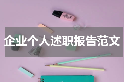 企业个人述职报告范文