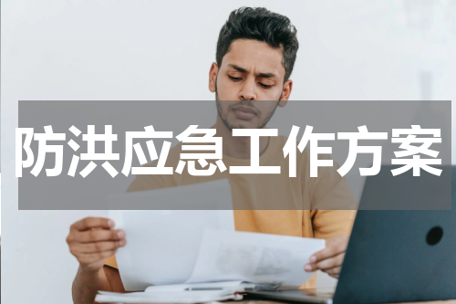 防洪应急工作方案