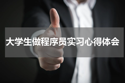 大学生做程序员实习心得体会