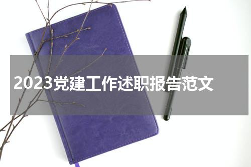 2023党建工作述职报告范文