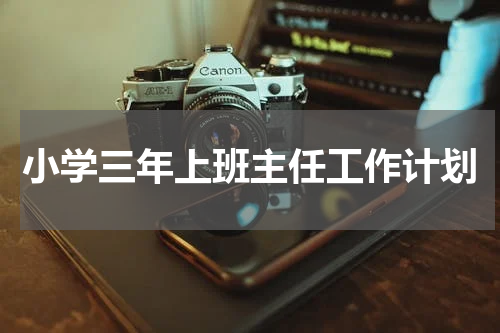 小学三年上班主任工作计划