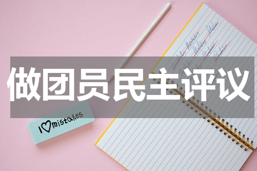 做团员民主评议