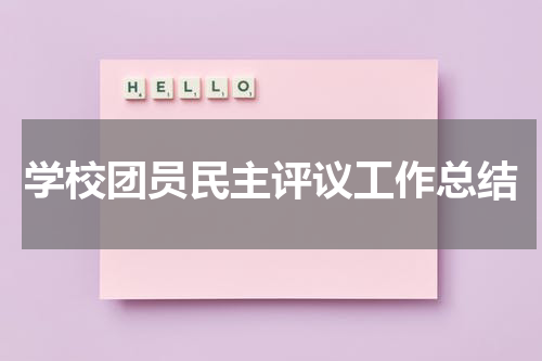 学校团员民主评议工作总结