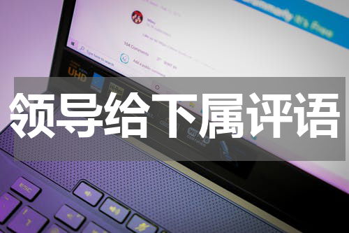 领导给下属评语