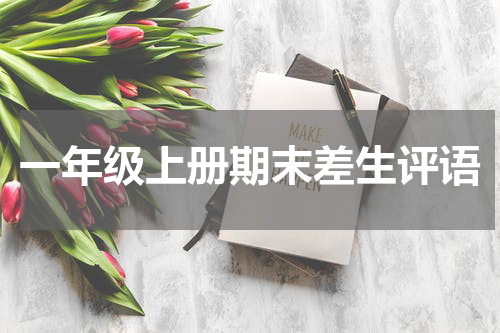 一年级上册期末差生评语