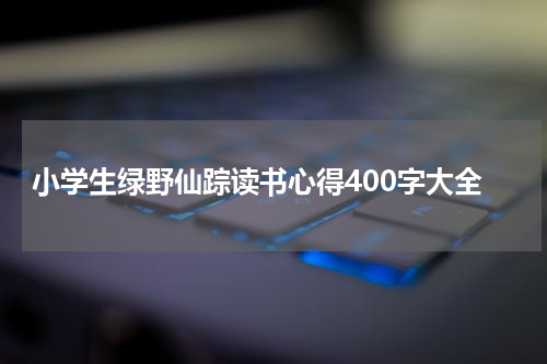 小学生绿野仙踪读书心得400字大全