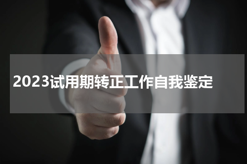2023试用期转正工作自我鉴定
