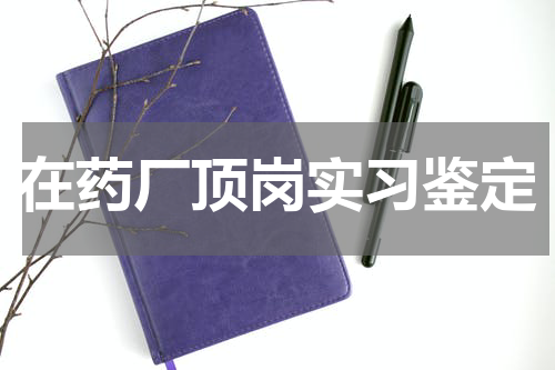 在药厂顶岗实习鉴定