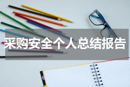 采购安全个人总结报告