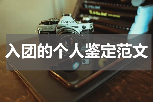 入团的个人鉴定范文