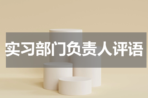 实习部门负责人评语