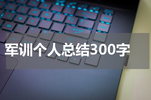 军训个人总结300字