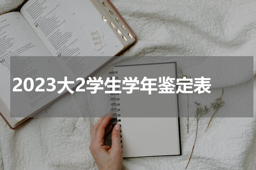 2023大2学生学年鉴定表