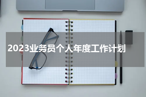 2023业务员个人年度工作计划
