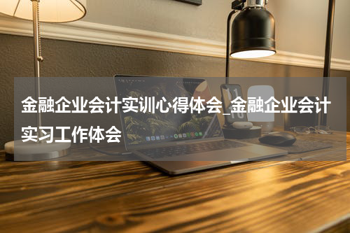 金融企业会计实训心得体会_金融企业会计实习工作体会