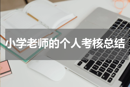 小学老师的个人考核总结
