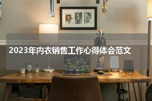 2023年内衣销售工作心得体会范文