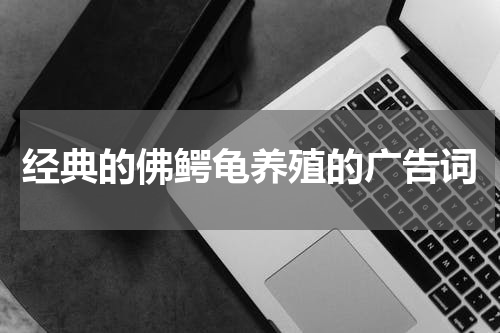经典的佛鳄龟养殖的广告词