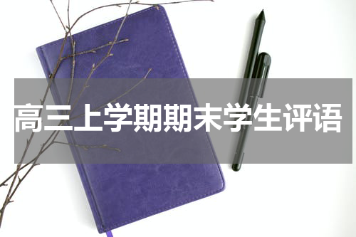 高三上学期期末学生评语