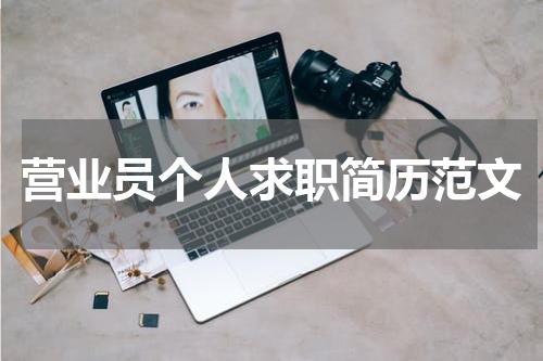 营业员个人求职简历范文