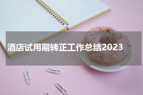 酒店试用期转正工作总结2023
