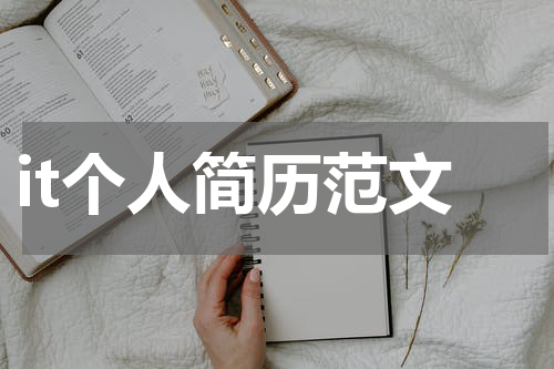 it个人简历范文