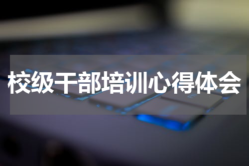 校级干部培训心得体会