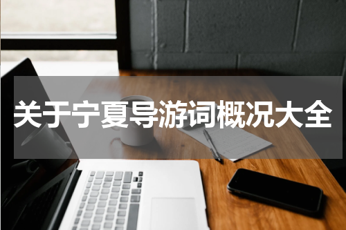 关于宁夏导游词概况大全
