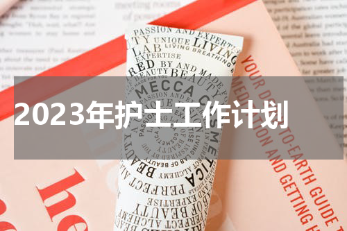 2023年护士工作计划