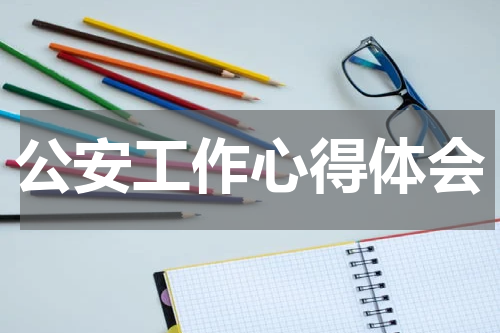 公安工作心得体会