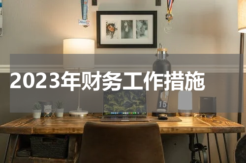 2023年财务工作措施