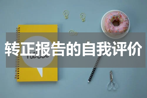 转正报告的自我评价