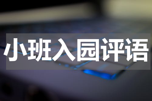 小班入园评语