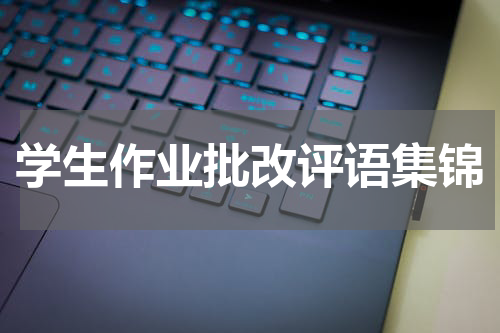 学生作业批改评语集锦