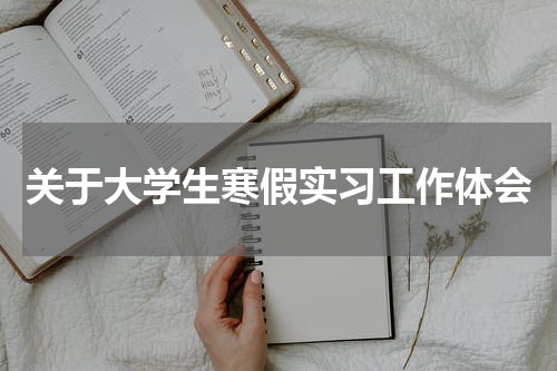关于大学生寒假实习工作体会