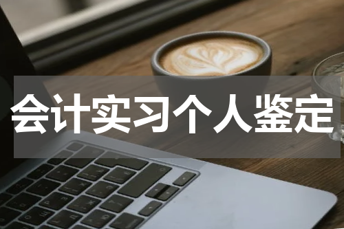 会计实习个人鉴定