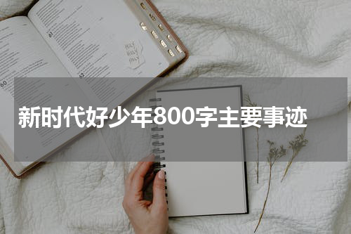 新时代好少年800字主要事迹