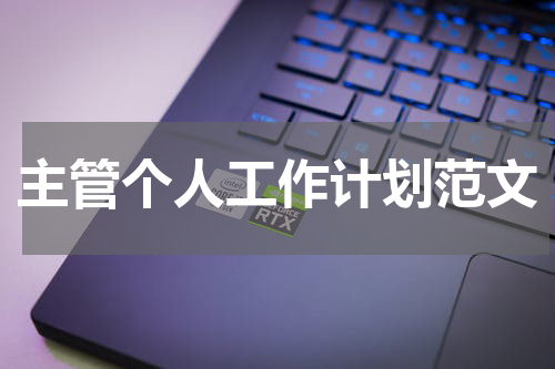 主管个人工作计划范文
