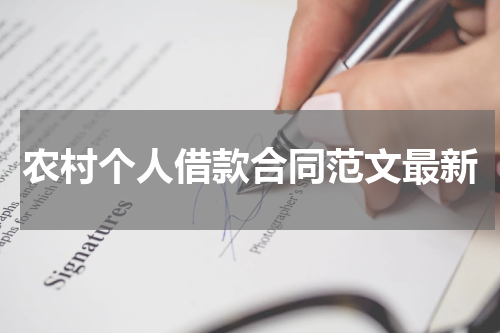 农村个人借款合同范文最新