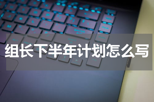 组长下半年计划怎么写
