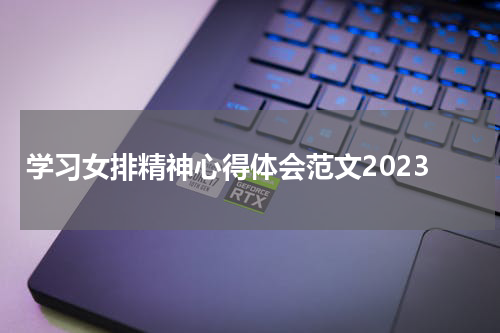 学习女排精神心得体会范文2023