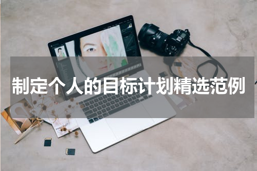 制定个人的目标计划精选范例