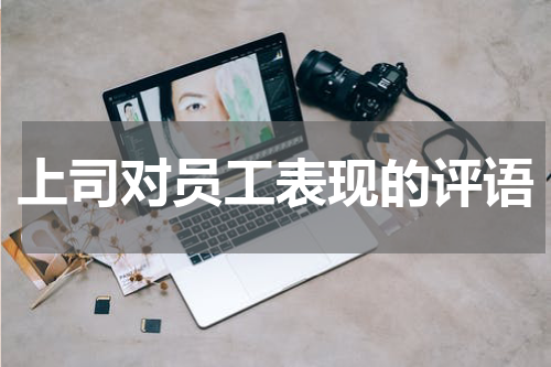 上司对员工表现的评语