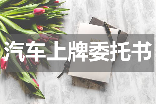汽车上牌委托书