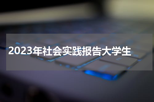 2023年社会实践报告大学生