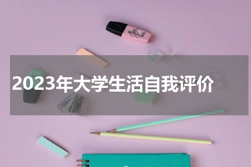 2023年大学生活自我评价