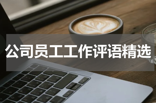 公司员工工作评语精选