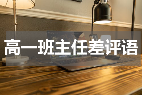 高一班主任差评语