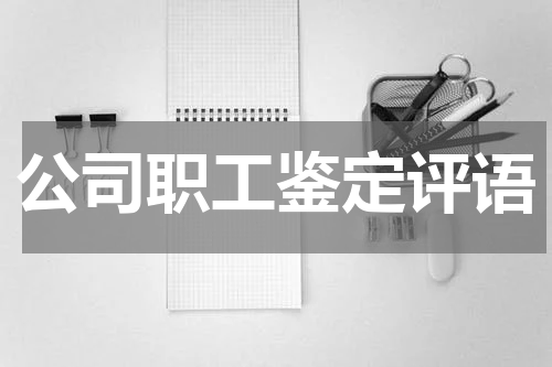 公司职工鉴定评语